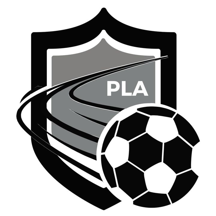 @prolevelacademy