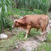 josefadomingo5