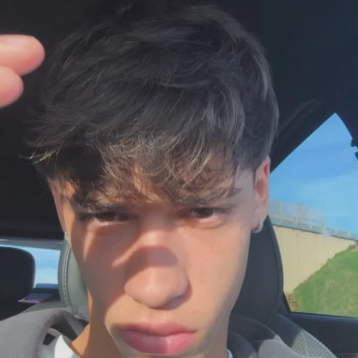 silviodenich00