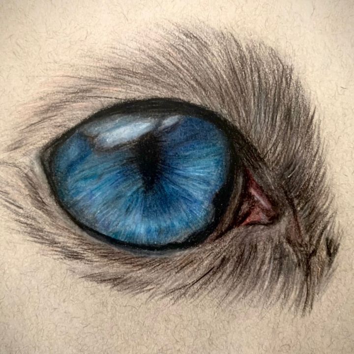 sa_art_