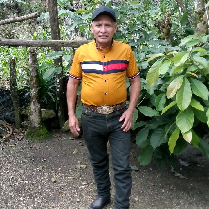 moncho4296