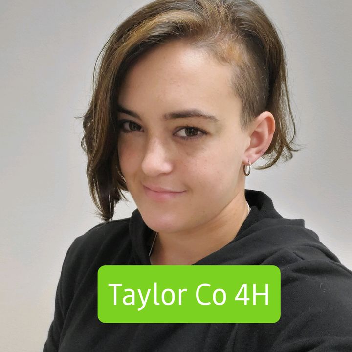 taylorco4h