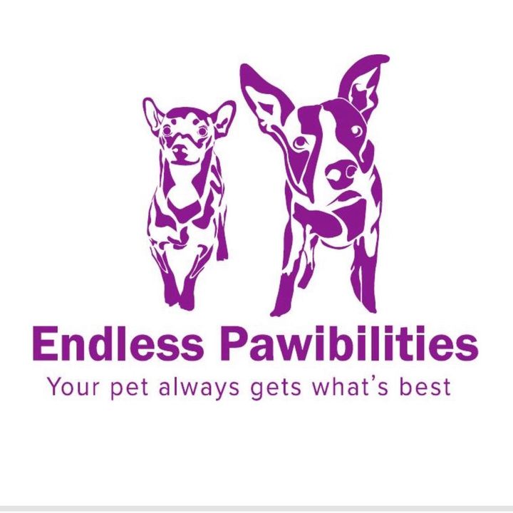 endlesspawibilities