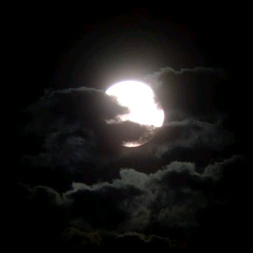 luna.bonita.lu