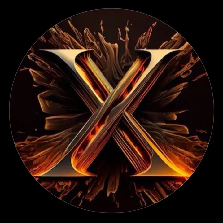 mr.x999.com