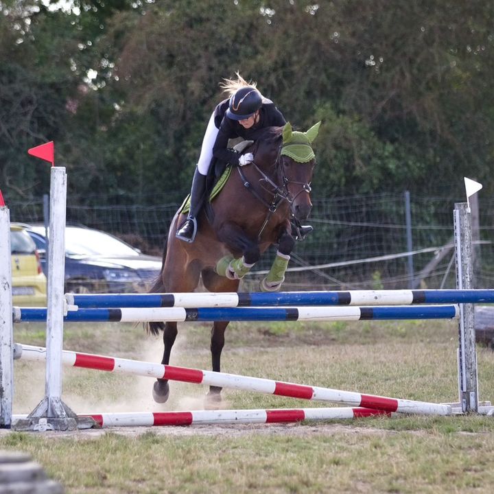 sportpony_donar