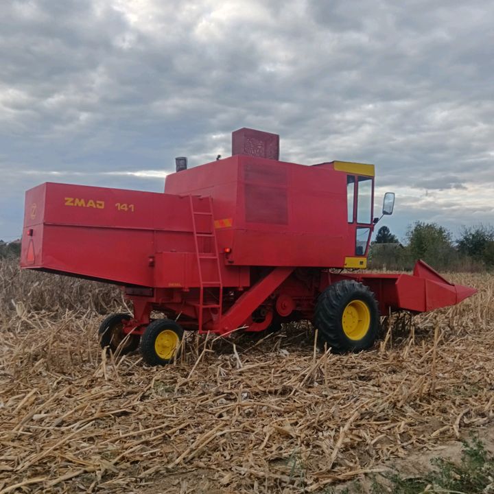 imt_farm