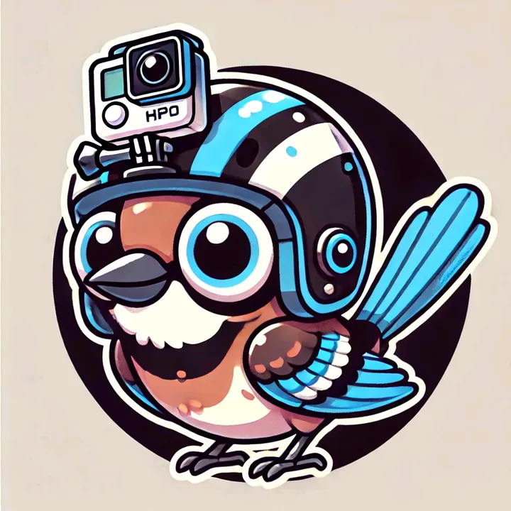 jfilms_rollerderby