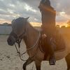 tta.equestrian