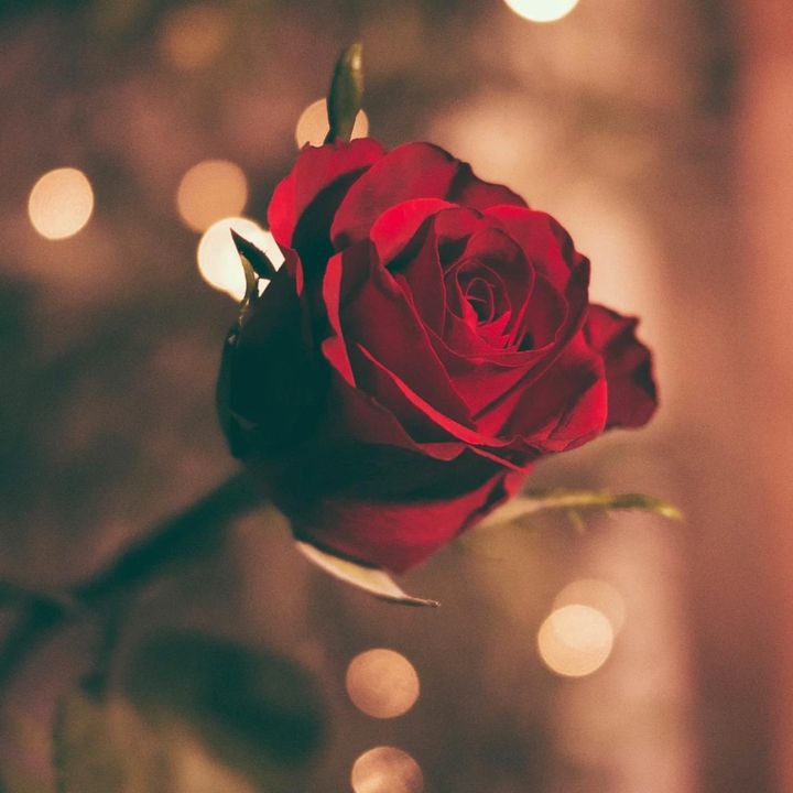 gumnaam_shayer