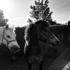 aoibheann717