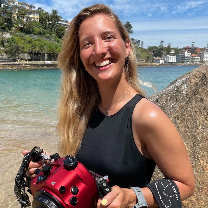 @gillian.shark