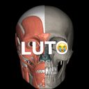 @anatomia.plena