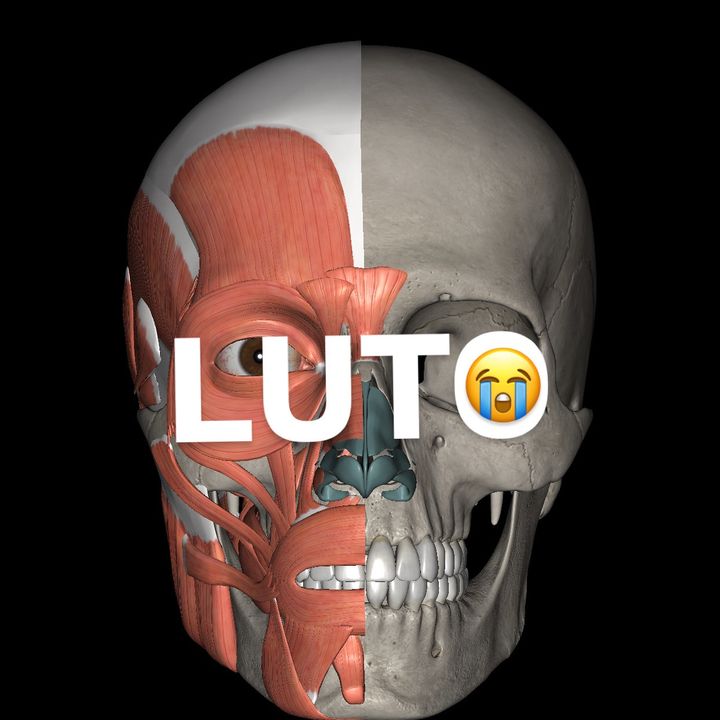 anatomia.plena
