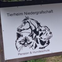 tierheimniedergrafschaft