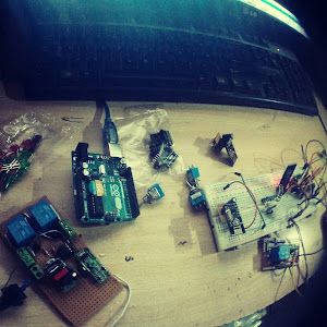 electrohiblida