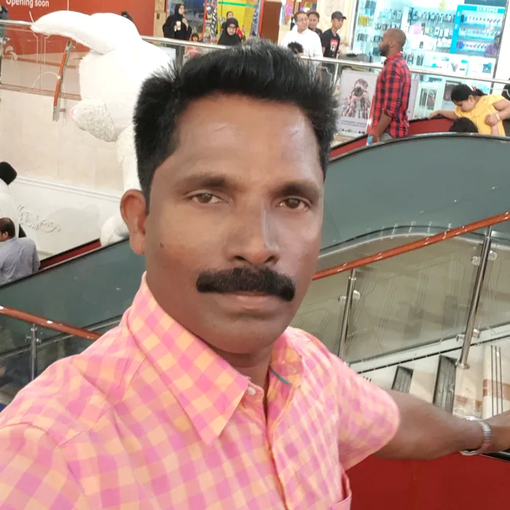 anilspunalur
