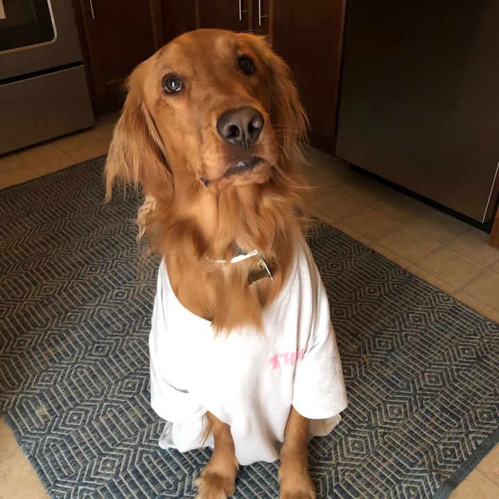 koda_thegolden
