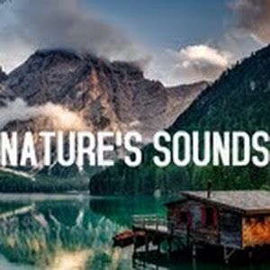 natures_playground