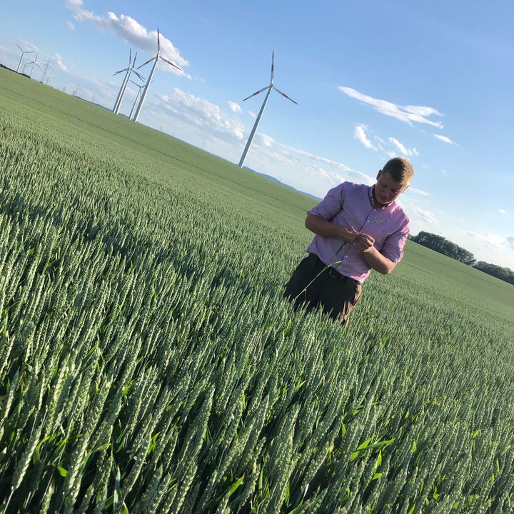 thies.kommander