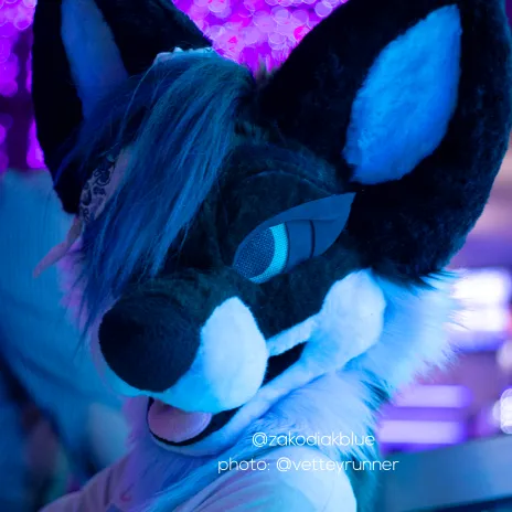 zakodiakblue