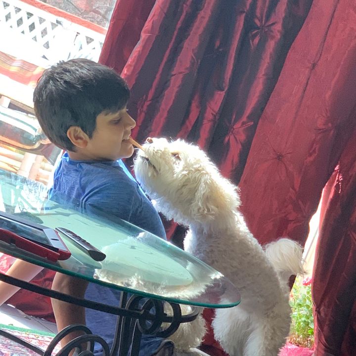 krish__kumar0501