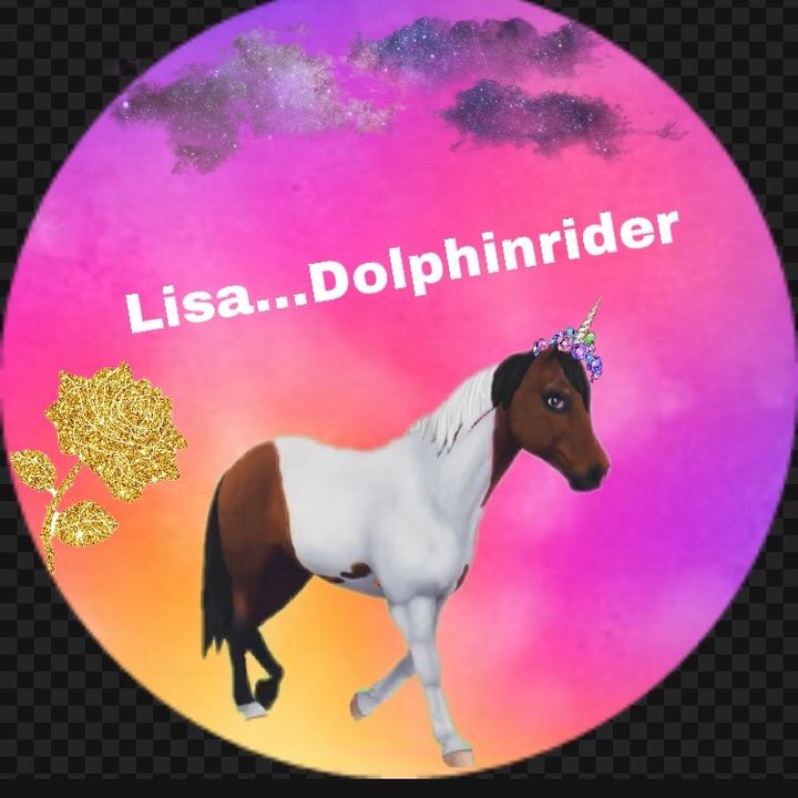 lisa...dolphinrider