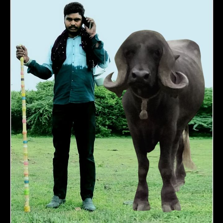 kishanmakva1111