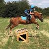 emily.showjumping