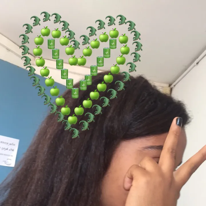 leeordibnerr