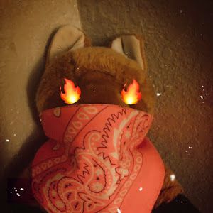 foxwithknives
