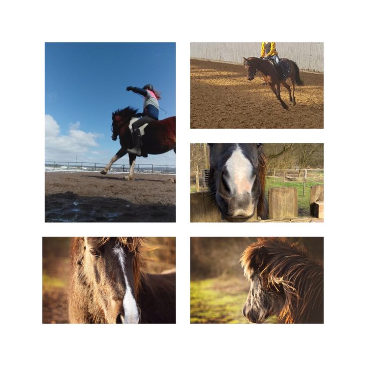 pony.gruppe_world