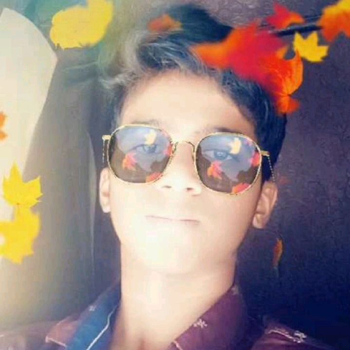 dineshyadav6865