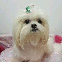 lunna.lhasa