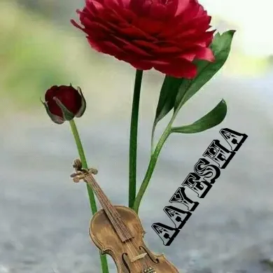ayeshagafur
