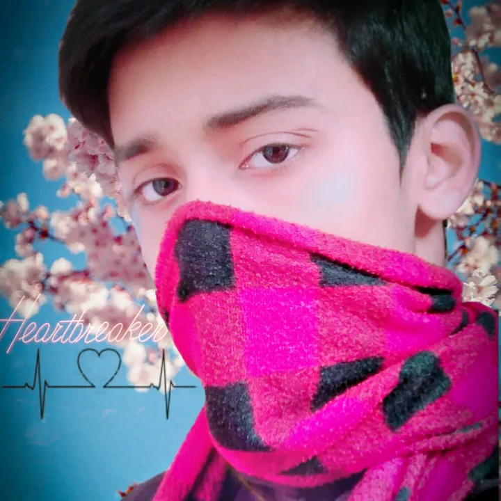 mayankjha_dashingboy
