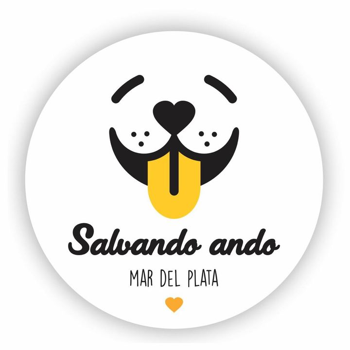 salvandoando
