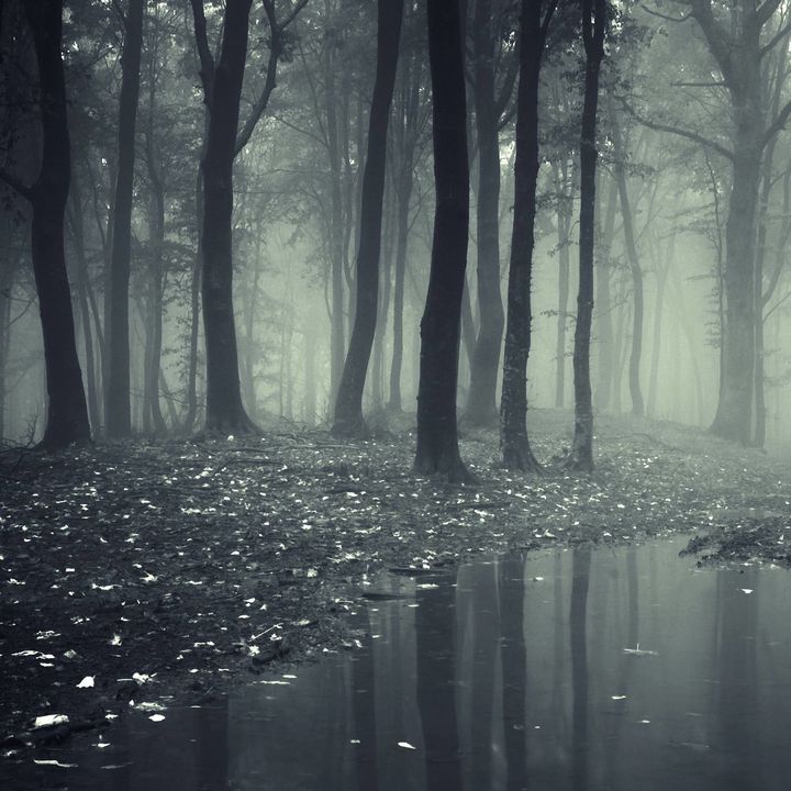 creepy..fqcts