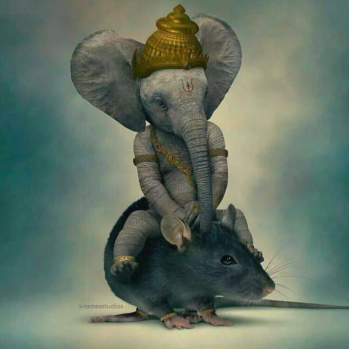kirangubbala1436