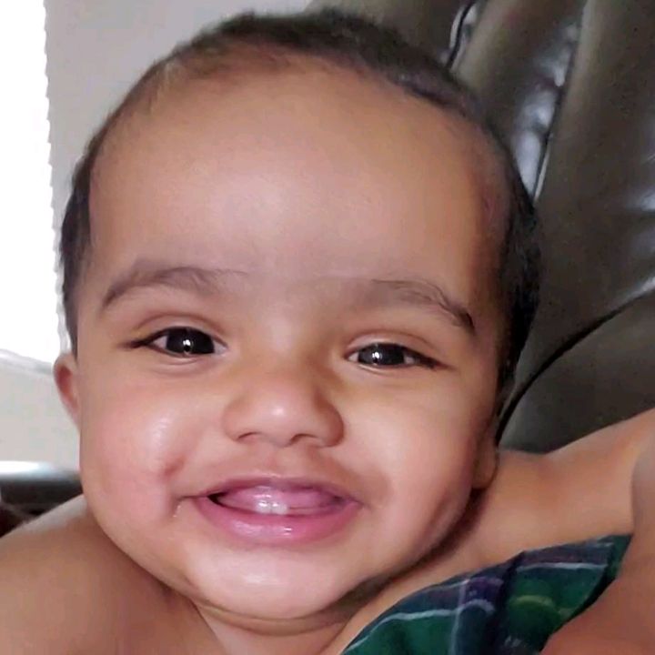 nivinkuttens