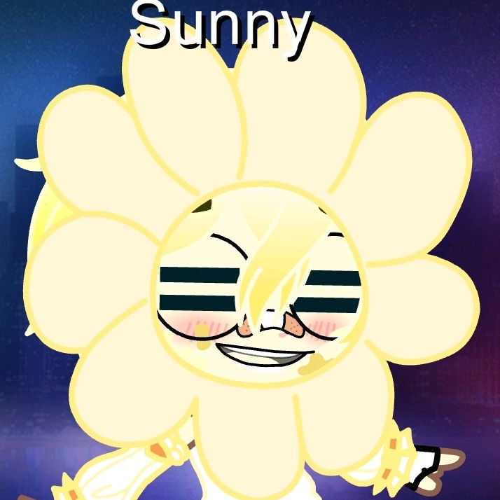 sunnyboysunx