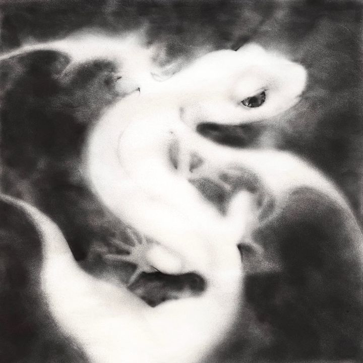 sugarlizard.uk