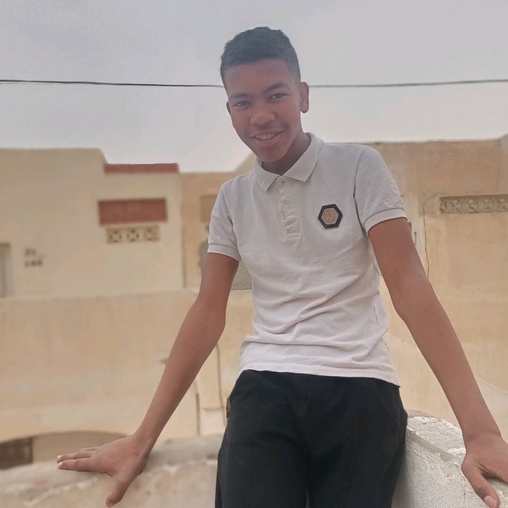 emaildz2019dz