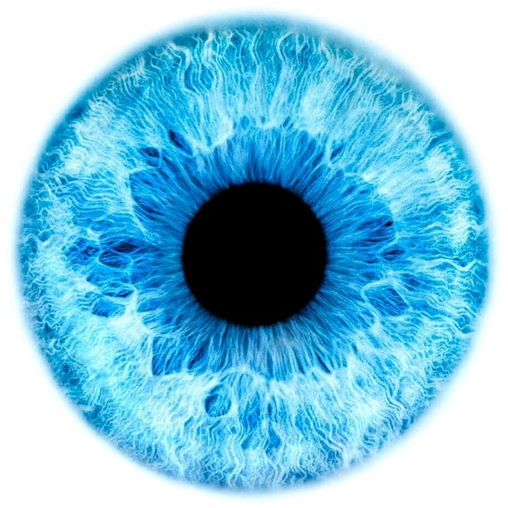 allanimaleye