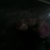 adrijana_.diana22
