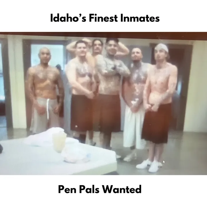 penpalswanted
