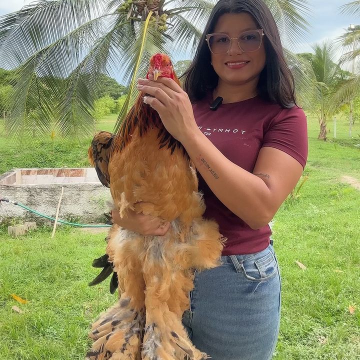 granjamascotalandiayara