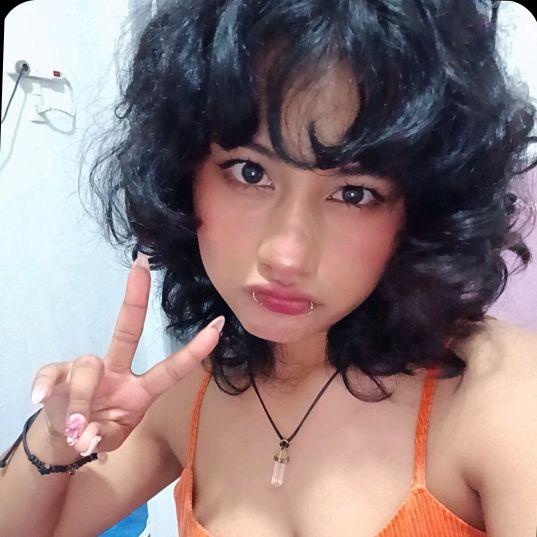 mapachee_arrollado