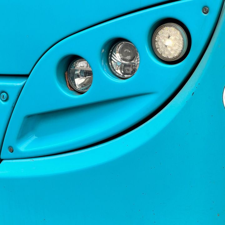 cooldrakebuses