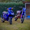 scootertuningisnotacrim4